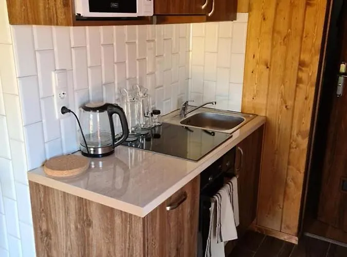 Lowisko Redyki Hotel *